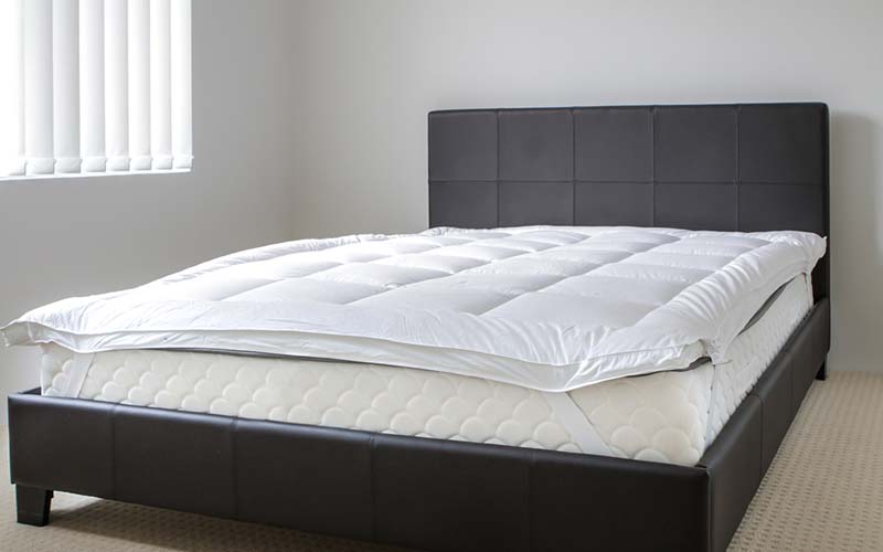 carpet cleaning in bronx, carpet cleaning bronx, carpet cleaners in bronx, carpet cleaners in bronx, commercial carpet cleaning, commercial carpet cleaning in bronx, bronx rug cleaners, rug cleaning services in bronx, same day carpet cleaning, same day rug cleaning in bronx