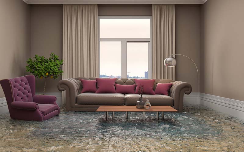 carpet cleaning in bronx, carpet cleaning bronx, carpet cleaners in bronx, carpet cleaners in bronx, commercial carpet cleaning, commercial carpet cleaning in bronx, bronx rug cleaners, rug cleaning services in bronx, same day carpet cleaning, same day rug cleaning in bronx